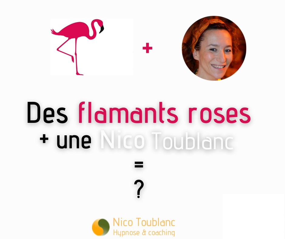 Les enfants du Tarmac (flamants rose) et Nico Toublanc hypnose Lyon 